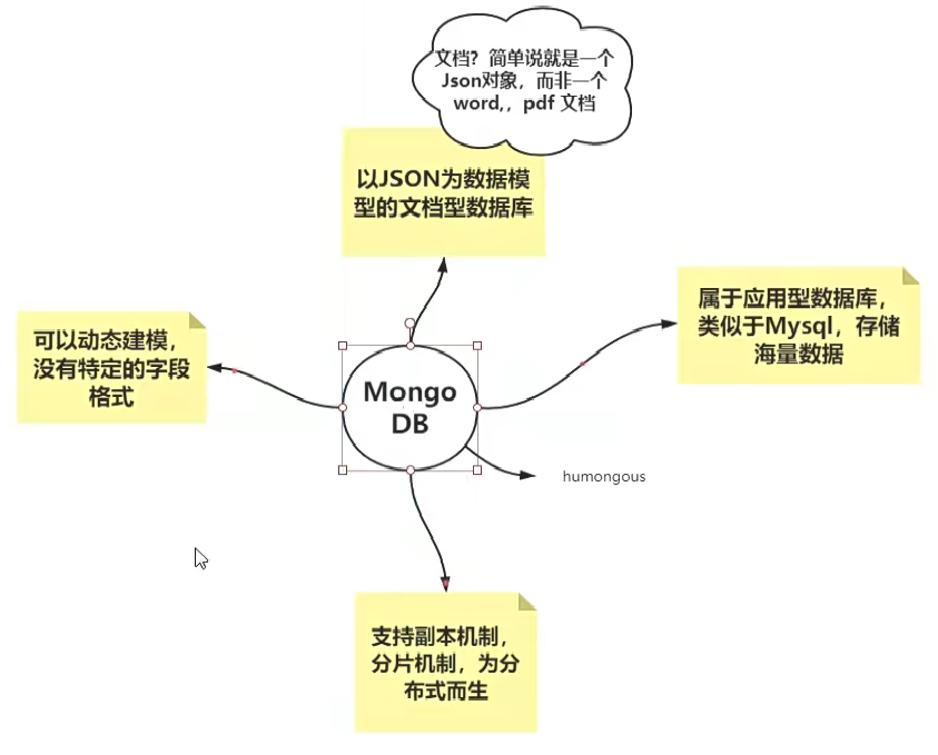 image-20220506175307252